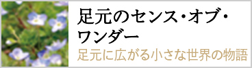 足元のセンス・オブ・ワンダー