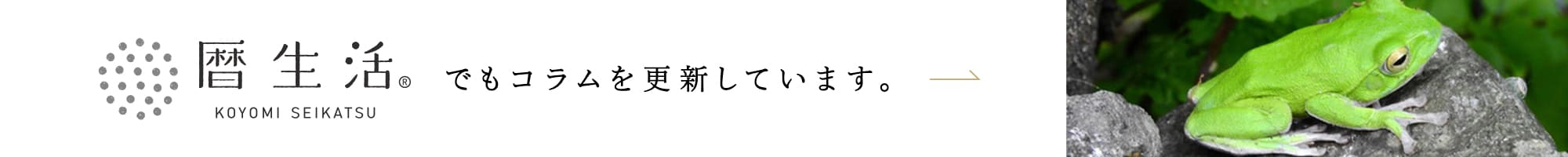 暦生活でもコラムを更新しています