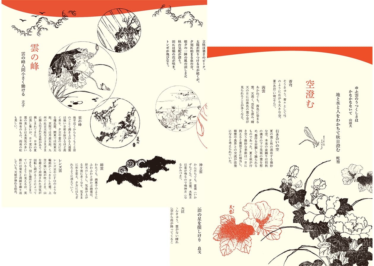 特徴3