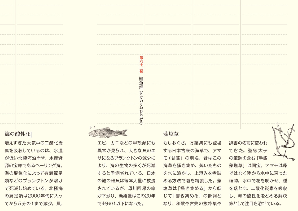 特徴4