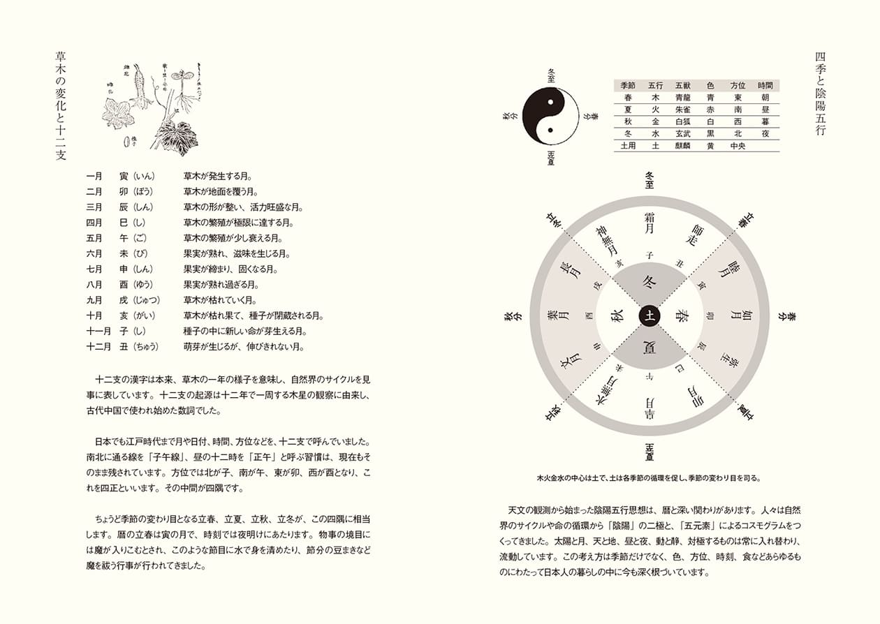 特徴6